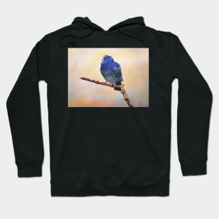 dove Hoodie